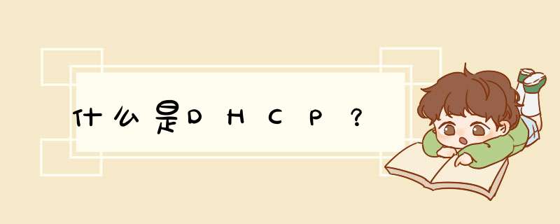 什么是DHCP？,第1张